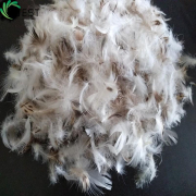 feather down