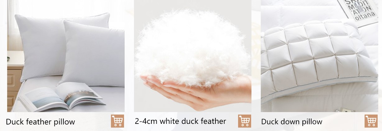 8888888888888 Filling material 100% natrual soft feel Washed White Duck Feather 2-4cm-Feather Down