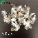 feather down Natural material cushion filling feather duvet filling 2-4cm white duck feather-Feather Down