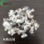 feather down Filling material 100% natrual soft feel Washed White Duck Feather 2-4cm-Feather Down