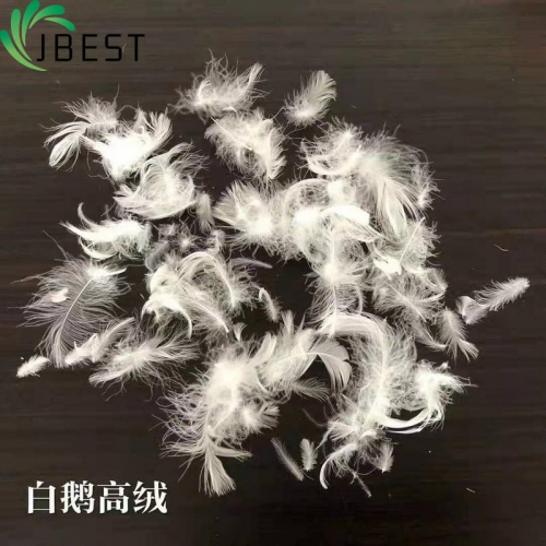 Natural material cushion filling feather duvet filling 2-4cm white duck feather-Feather Down