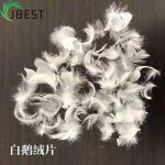 feather down Filling material 100% natrual soft feel Washed White Duck Feather 2-4cm-Feather Down