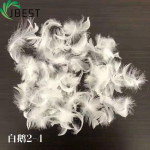 feather down Filling material 100% natrual soft feel Washed White Duck Feather 2-4cm-Feather Down