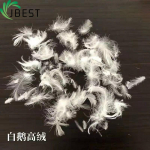 feather down Filling material 100% natrual soft feel Washed White Duck Feather 2-4cm-Feather Down