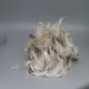 fiber feather down