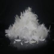 feather down