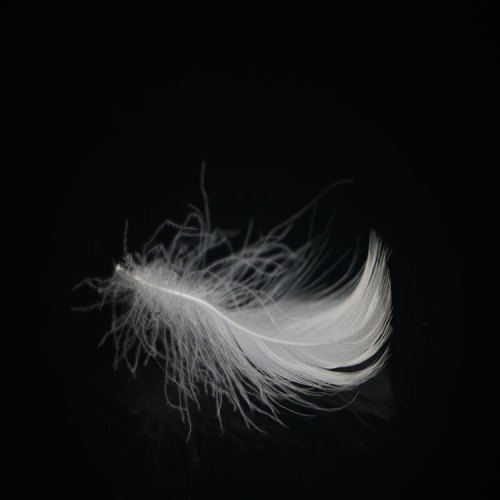 fiber feather down