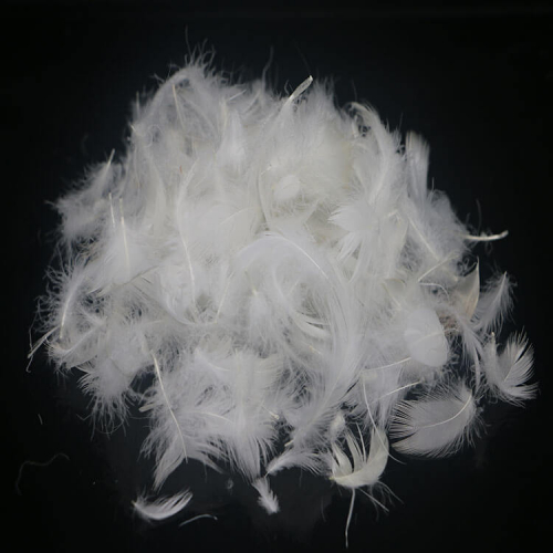 feather down