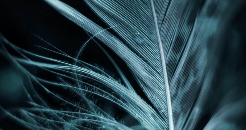 feather down