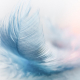 feather down