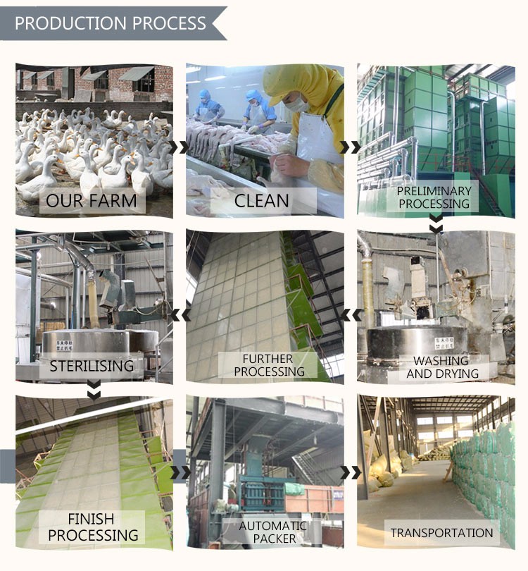 feather down processing factory About Us-Feather Down